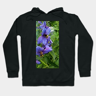 Close up purple delphinium Hoodie